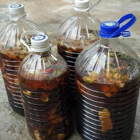 Cairan Eco Enzyme